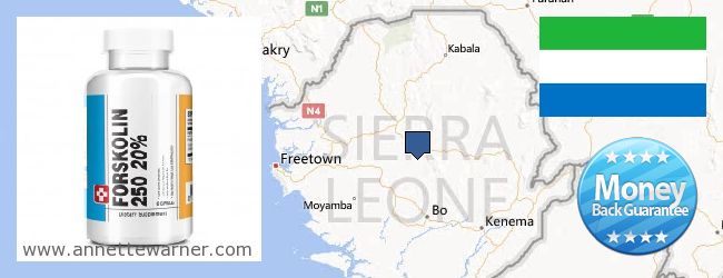 Where to Buy Forskolin Extract online Sierra Leone