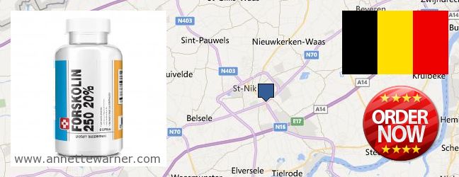 Buy Forskolin Extract online Sint-Niklaas, Belgium