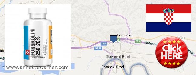 Where Can I Purchase Forskolin Extract online Slavonski Brod, Croatia