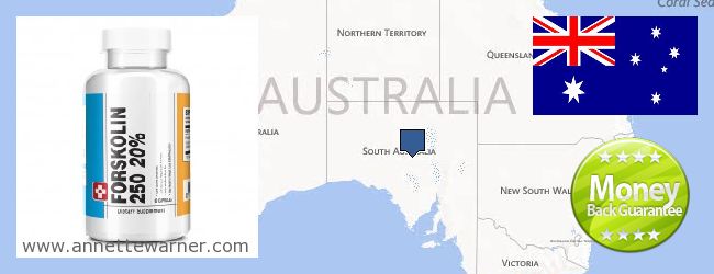 Where to Buy Forskolin Extract online South Australia, Australia