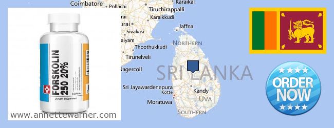 Buy Forskolin Extract online Sri Lanka