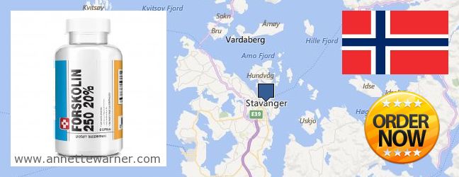 Where to Buy Forskolin Extract online Stavanger, Norway