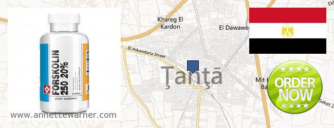 Where to Buy Forskolin Extract online Tanta, Egypt