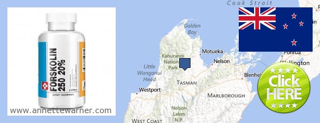Where to Buy Forskolin Extract online Tasman, New Zealand