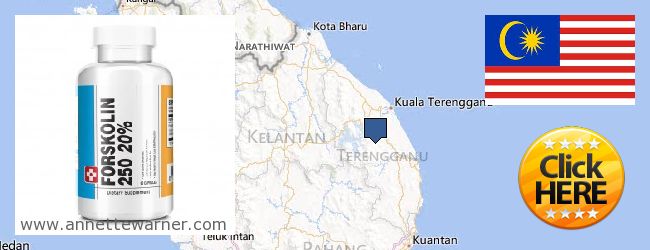 Buy Forskolin Extract online Terengganu, Malaysia