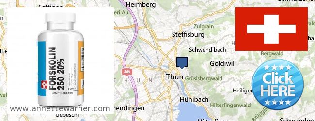 Where to Buy Forskolin Extract online Thun, Switzerland