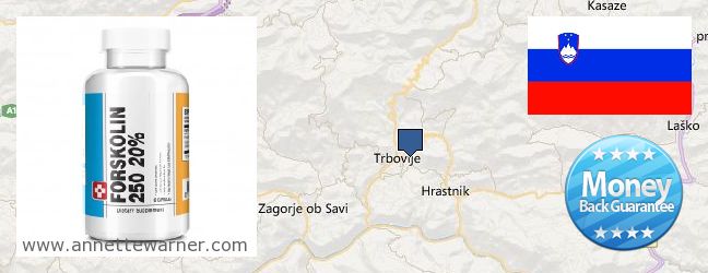 Where to Buy Forskolin Extract online Trbovlje, Slovenia