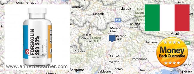 Where to Buy Forskolin Extract online Trentino-Alto Adige, Italy