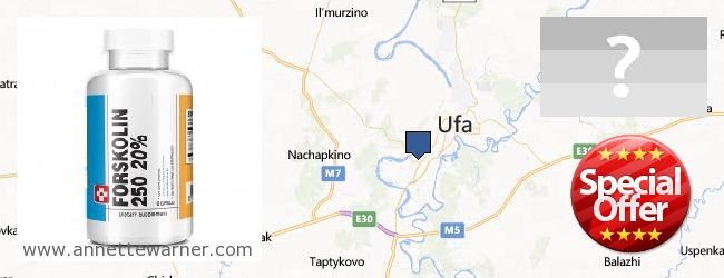Buy Forskolin Extract online Ufa, Russia