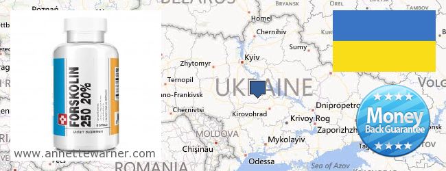 Buy Forskolin Extract online Ukraine