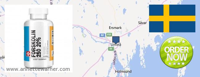 Purchase Forskolin Extract online Umea, Sweden
