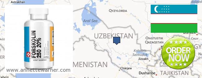 Where to Purchase Forskolin Extract online Uzbekistan