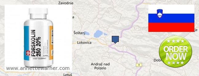 Buy Forskolin Extract online Velenje, Slovenia