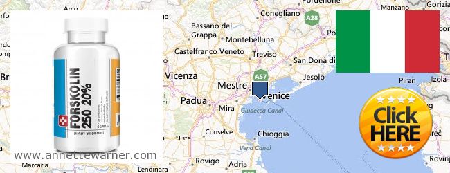 Where to Purchase Forskolin Extract online Veneto (Venetio), Italy