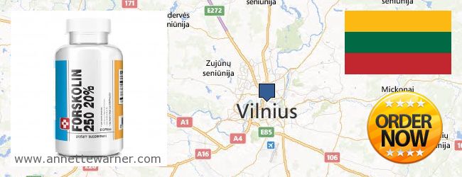 Purchase Forskolin Extract online Vilnius, Lithuania