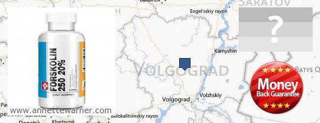 Where to Buy Forskolin Extract online Volgogradskaya oblast, Russia