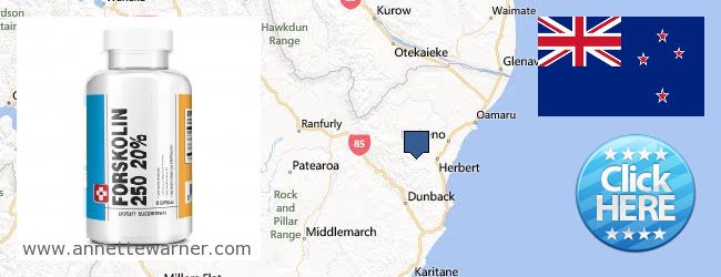 Where to Purchase Forskolin Extract online Waitaki, New Zealand