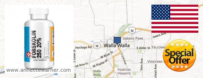 Purchase Forskolin Extract online Walla Walla WA, United States