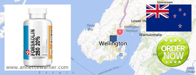 Purchase Forskolin Extract online Wellington, New Zealand