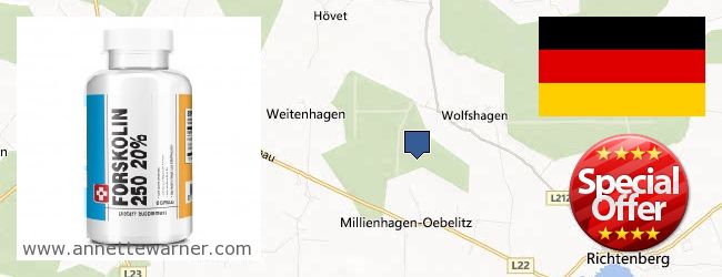 Where to Buy Forskolin Extract online (-Western Pomerania), Germany