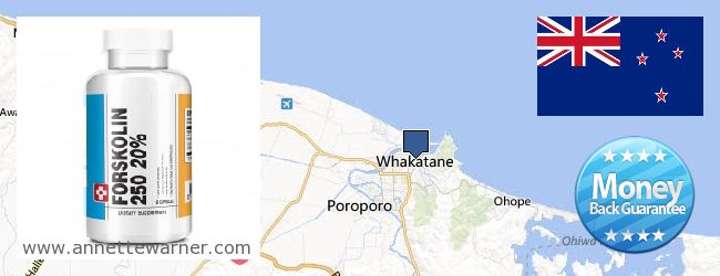 Best Place to Buy Forskolin Extract online Whakatane, New Zealand