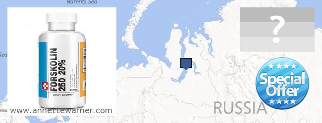 Where Can You Buy Forskolin Extract online Yamalo-Nenetskiy avtonomnyy okrug, Russia