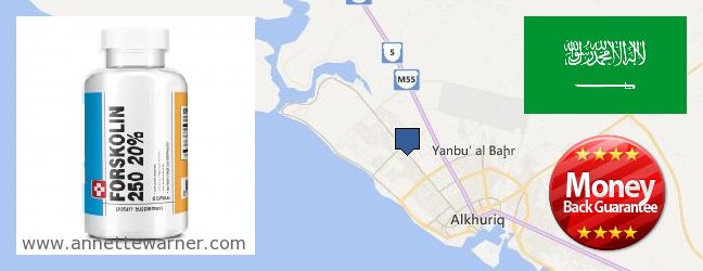 Where Can I Purchase Forskolin Extract online Yanbu` al Bahr, Saudi Arabia