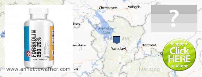 Where to Buy Forskolin Extract online Yaroslavskaya oblast, Russia