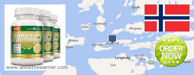Best Place to Buy Garcinia Cambogia Extract online Alesund, Norway
