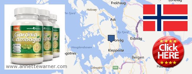 Best Place to Buy Garcinia Cambogia Extract online Askoy, Norway