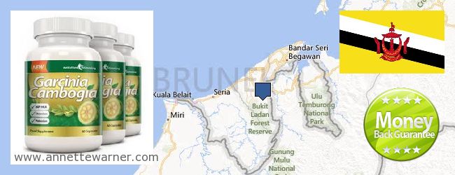 Where Can You Buy Garcinia Cambogia Extract online Brunei