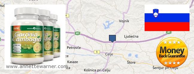 Where Can I Purchase Garcinia Cambogia Extract online Celje, Slovenia
