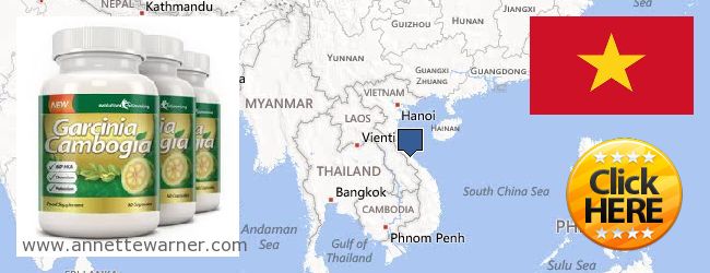 Buy Garcinia Cambogia Extract online Vietnam