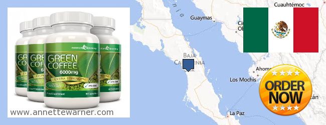 Where to Purchase Green Coffee Bean Extract online Baja California Sur, Mexico