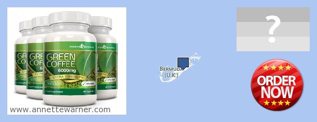 Where to Purchase Green Coffee Bean Extract online Bermuda