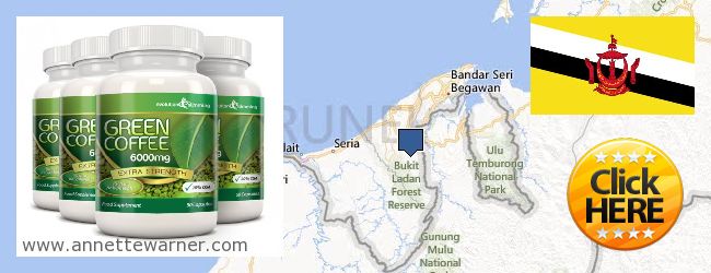 Where to Buy Green Coffee Bean Extract online Brunei