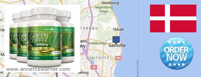 Purchase Green Coffee Bean Extract online Gentofte, Denmark
