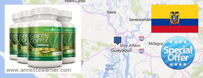 Where to Buy Green Coffee Bean Extract online Guayaquil, Ecuador