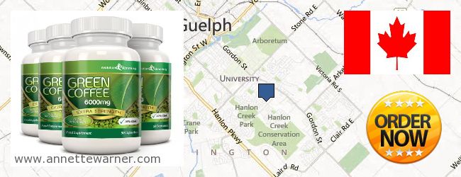 Buy Green Coffee Bean Extract online Guelph ONT, Canada