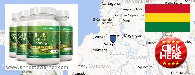Purchase Green Coffee Bean Extract online Sucre, Bolivia