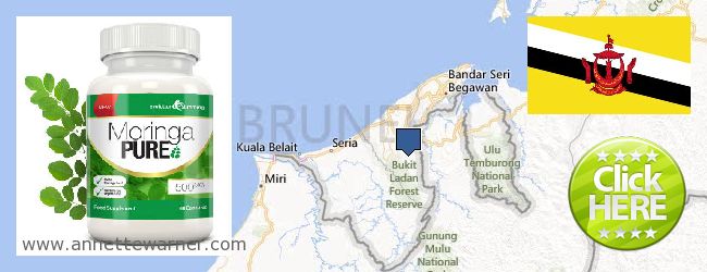 Best Place to Buy Moringa Capsules online Brunei