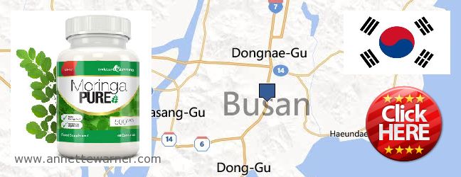 Purchase Moringa Capsules online Busan [Pusan] 부산, South Korea