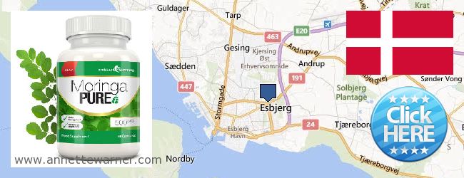 Best Place to Buy Moringa Capsules online Esbjerg, Denmark