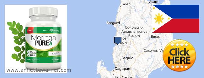 Where to Buy Moringa Capsules online Ilocos, Philippines