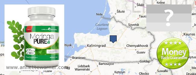 Where to Buy Moringa Capsules online Kaliningradskaya oblast, Russia