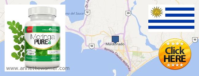 Purchase Moringa Capsules online Maldonado, Uruguay