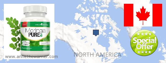 Where to Buy Moringa Capsules online Newfoundland and Labrador NL, Canada