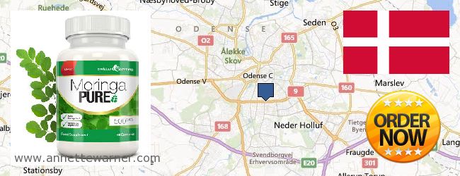 Where Can I Buy Moringa Capsules online Odense, Denmark