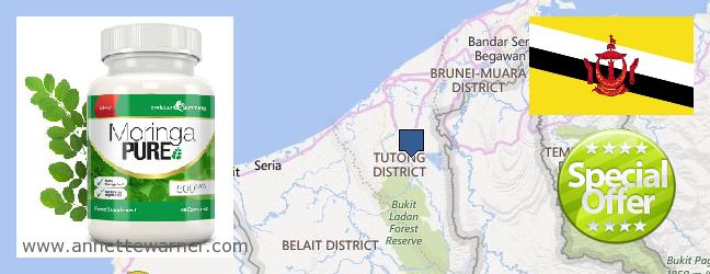 Where to Purchase Moringa Capsules online Tutong, Brunei
