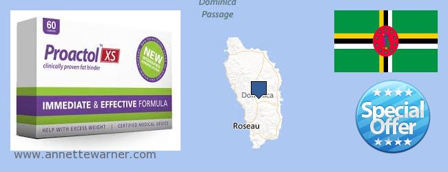 Where to Purchase Proactol XS online Dominica